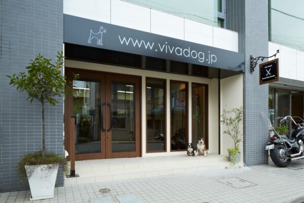 店舗_VIVA DOG 新装工事_01 新築