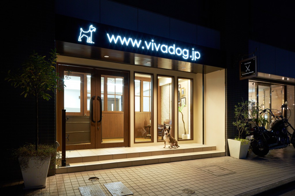 店舗  VIVA DOG 新装工事_4